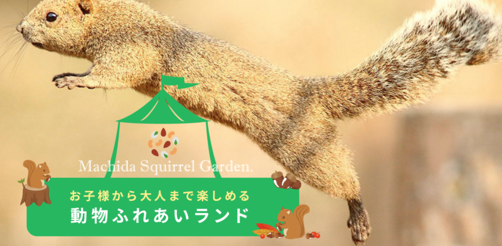 ☆ 森のうさぎとリスの塩瀬の名古屋帯 m4091 うさぎと牧草の